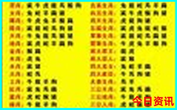 厦门暑假带孩子去哪里好玩